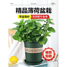 ��������ˮ�ౡ���~���r��ʳ���Ե������ֲ���҃ȾGֲ���ܙ��ʲ�