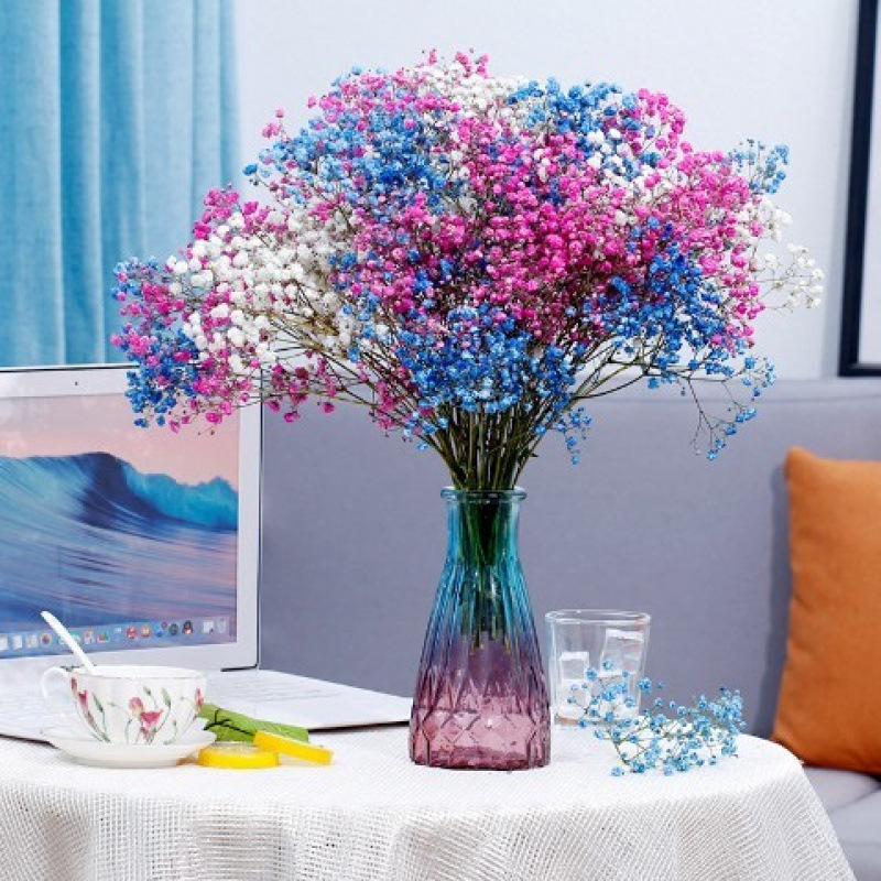 화이트 + 사파이어 블루 + 로즈 레드 안개꽃 - 꽃병 없음