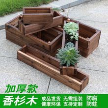 ����M�ϼӺ�С�������̼�������L�����̨�N����Nֲ����⻨��