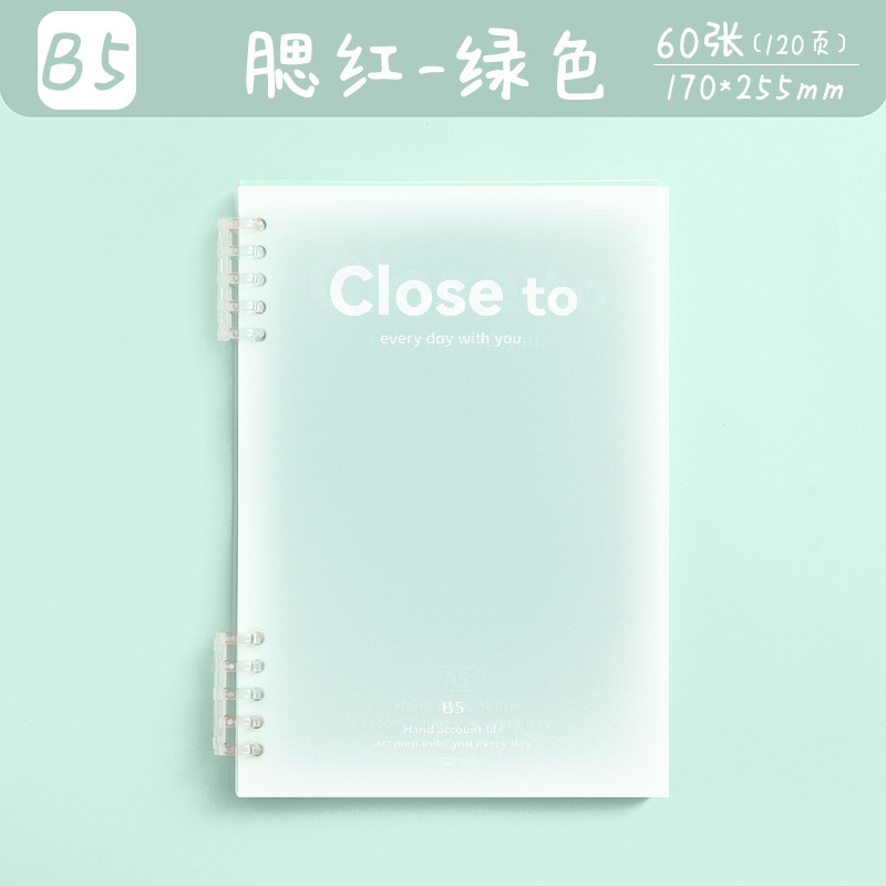 2699 B5 블러쉬 그린