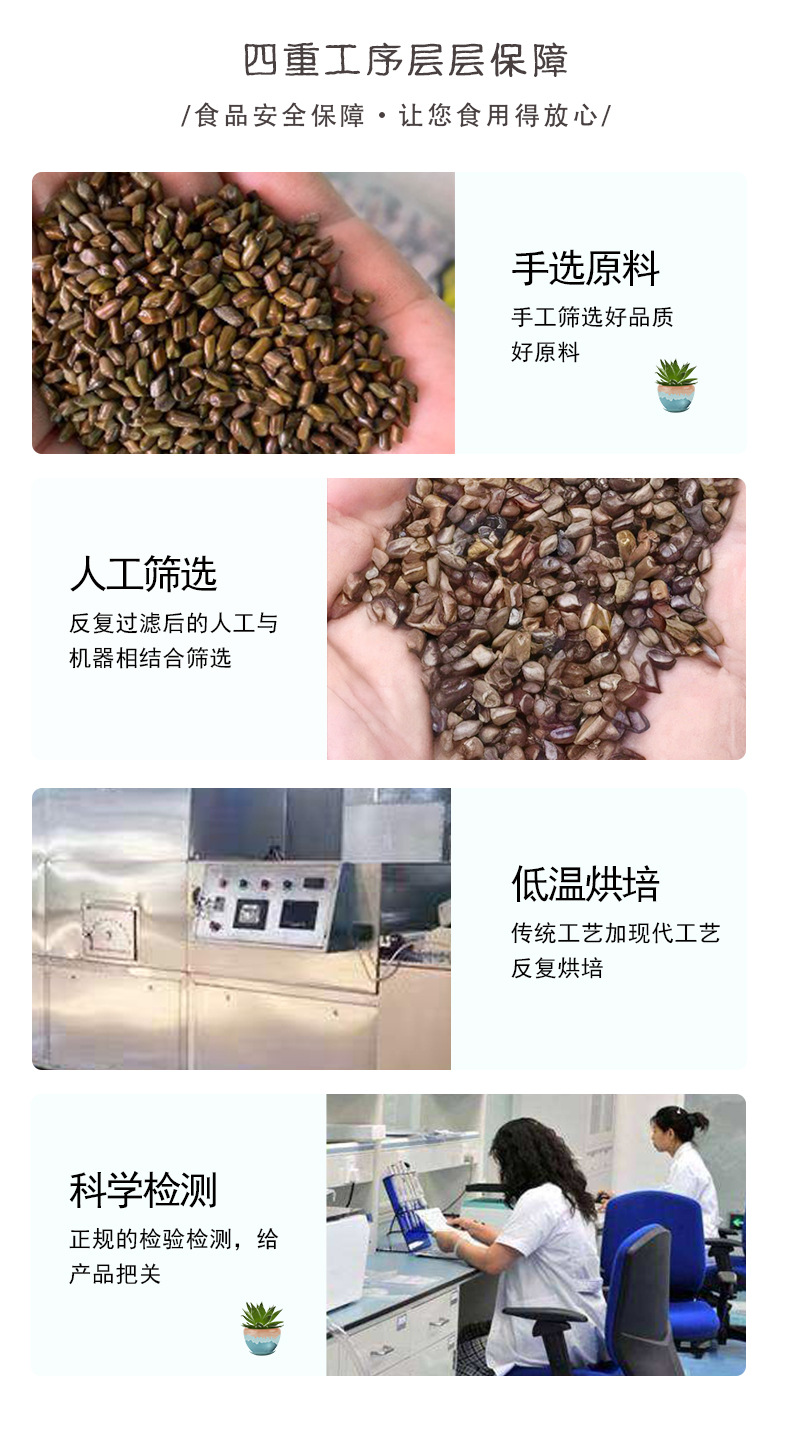 Roasted Cassia Seed Jue Ming Zi 500g Dried Cassia Seed for Herbal Tea Blends and Daily Wellness Use quality and texture