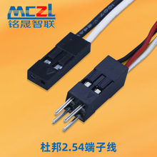 廠家供應櫥櫃燈帶延長線智能燈飾紅黑線束2.54間距杜邦帶扣端子線