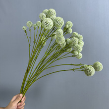 �S���� ���滨����������ҾӔ[����c�zӰܛ�b�OӋ�[���ѹ�Ӣ