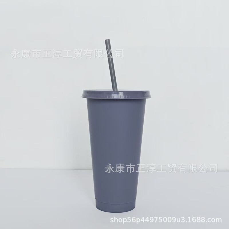 外贸新款马卡龙系列大容量710ML塑料奶茶杯PP材质磨砂手感吸管杯|undefined