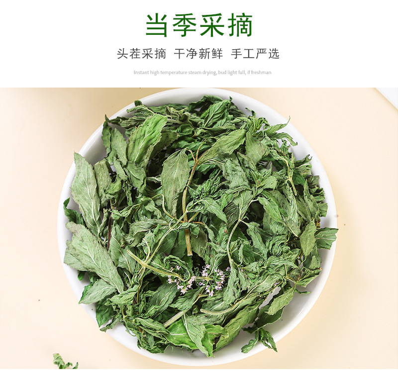 Spearmint Leaf (Mentha spicata) — Anhui Dried Mint Tea for Cold Brew & Daily Infusions specifications