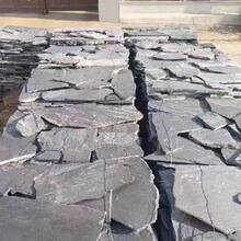 ʯ岻ҎtyĻʯ¹ň@ʯďSƬʯƴʯëʯoʯ