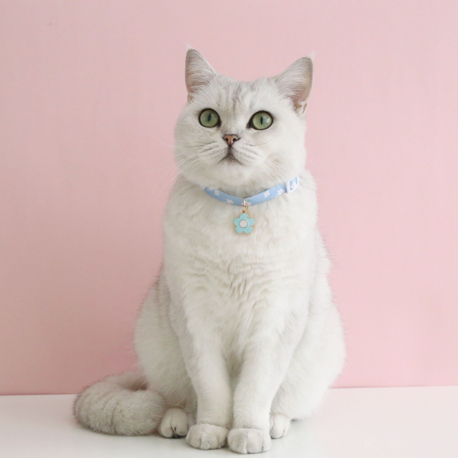 QQ图片20221009155818