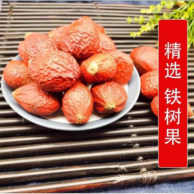 中药材 铁树果 凤凰蛋 铁树籽 凤凰蛋 铁铁树子 支持药检 代磨粉