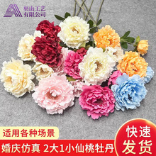 ��c����ĵ�����滨�����ٻ��Ƶ��Y���b��ı���·�����Ų廨