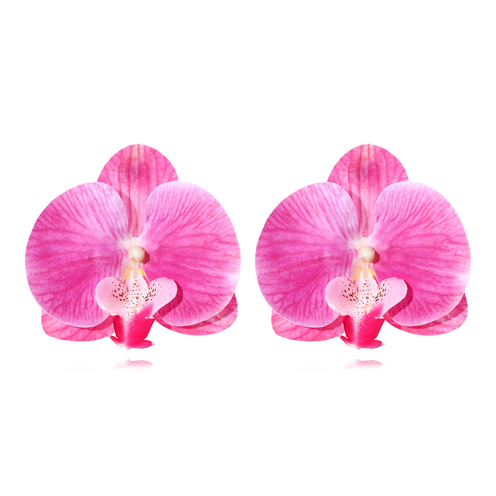 fashionable earrings