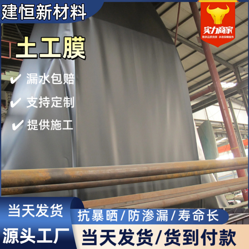高密度聚乙烯土工膜2mm加厚全新料耐腐蚀黑色双光面土工膜