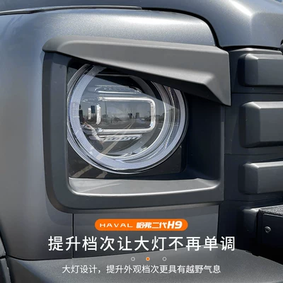 Eyebrow Cover Frame Body – Lamp eyebrow