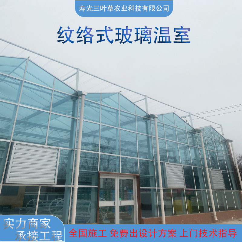 厂家直供智能玻璃温室连栋薄膜温室大棚骨架承接工程蔬菜种植大棚