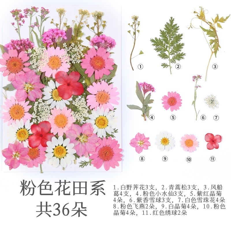 36개의 핑크색 꽃밭