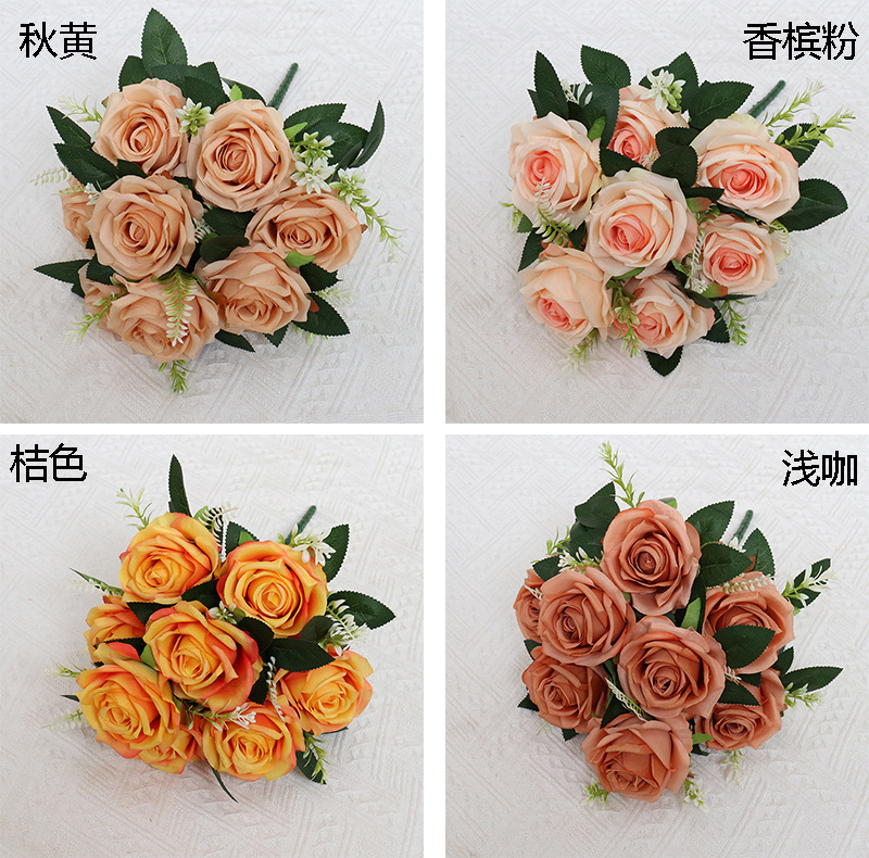 9头卡罗拉 (2).jpg