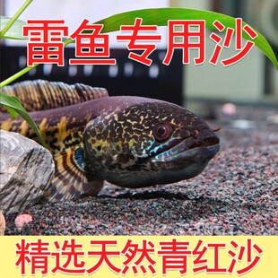 ��ϴ��tɳƫ������ɳ��Ҽtɳ��������ԭ���~���쾰ɳ������ɳ��