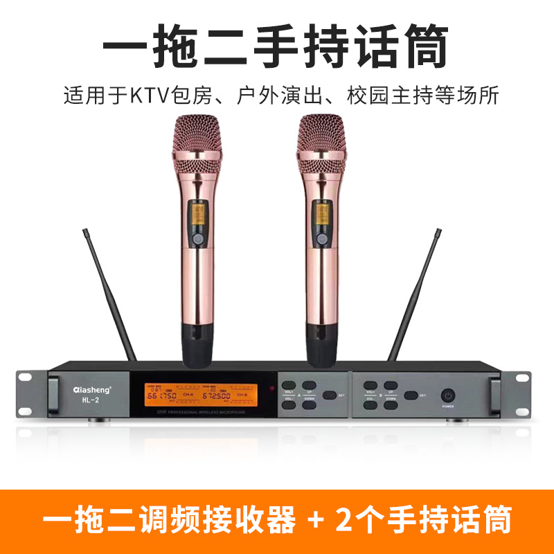 Micrófono inalámbrico TMD/Tengmandi de doble canal FM U-band Bluetooth para cantar, conferencias, KTV, verdadera diversidad