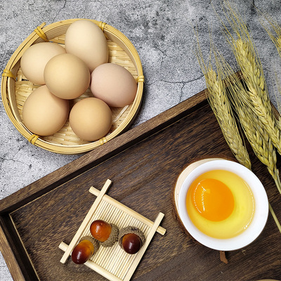 【代理】竹林散養土雞蛋30個裝新鮮笨雞蛋壹件代發接批發集采貼牌