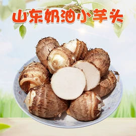 代用/养生茶;苹果;橙