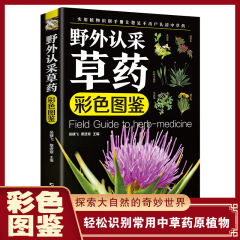 野外識別ハーブカラー図鑑入門わかりやすい漢方薬実写植物識別マニュアル書籍