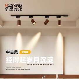北欧胡桃木小射灯日式家用客厅背景GU10宽压导轨led明装轨道灯