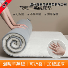 床墊宿舍加厚羊羔絨軟墊家用床褥子冬季學生宿舍單人租房專用墊被