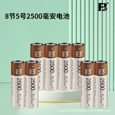 Fengbiao Nimh Rechargeable Battery No. Hibrid akkumulyator batareyaları - no-5-2500-ma-battery-8