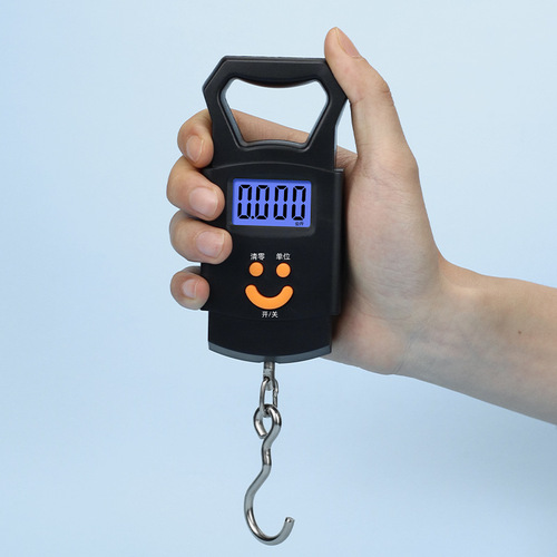 Wholesale Electronic Scale 50kg Portable Spring Handheld Food Courier Fishing Scale Electronic Scale Gram