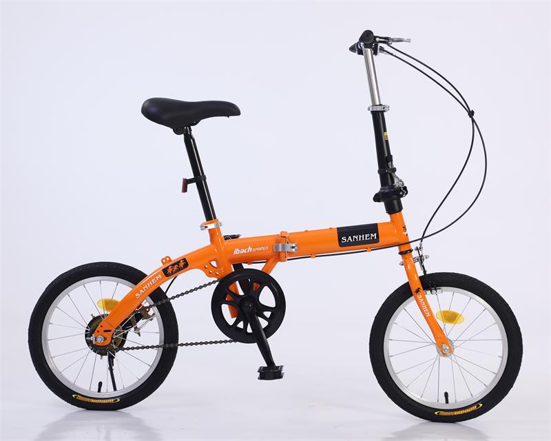 _54A4197_看图王(1)