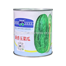 �y��������˹ϷN�ӾGƤ�G�����˹ϾGȿ�����쳣��ɳ�ϱ������