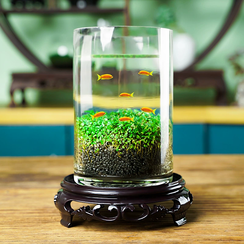 Настольный аквариум Мини Микро Пейзаж Ультра-белое стекло Маленький аквариум Настольный фильтр без воды Экологический резервуар