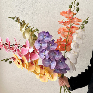 �����m�ٻ����滨�[�O�͏d�����廨���ϻ��b��ܸɻ�����ˇ�[��