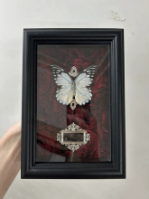 ✅复古工艺哥特风巴洛克蝴蝶标本剧粉蝶血漪蛱蝶家居摆件挂画送礼