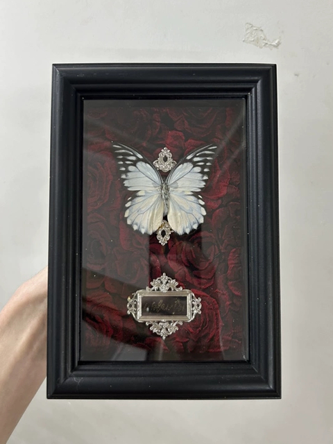 ✅复古工艺哥特风巴洛克蝴蝶标本剧粉蝶血漪蛱蝶家居摆件挂画送礼