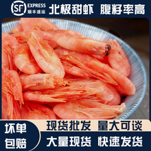 ���ô󱱘O���r5�ﱱ�O�r����������r�������Ϻ��rʳ�����l