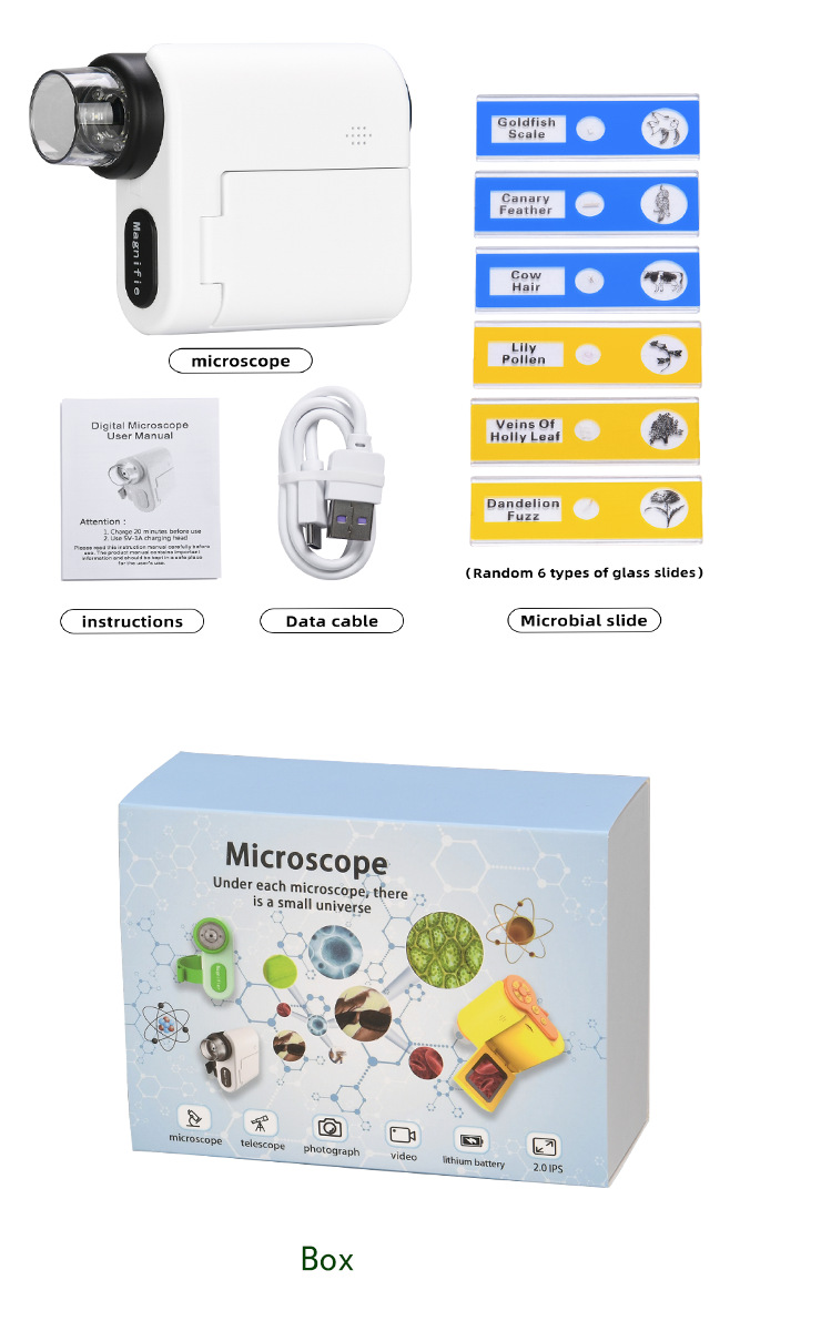 English white without card