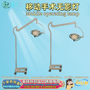 Medical Led Surgical Shadowless Lamp Single-Head Double-Head Ceiling-Mounted Hospital Cosmetic Plastic Surgery Lighting Led300 Export