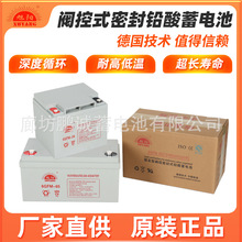 大容量12V 65AH铅酸蓄电池UPS不间断电源电动车/太阳能储能可定制