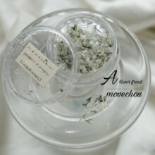 日系秋冬新款双色smint同款复古干花碎美甲装饰diy配件押花