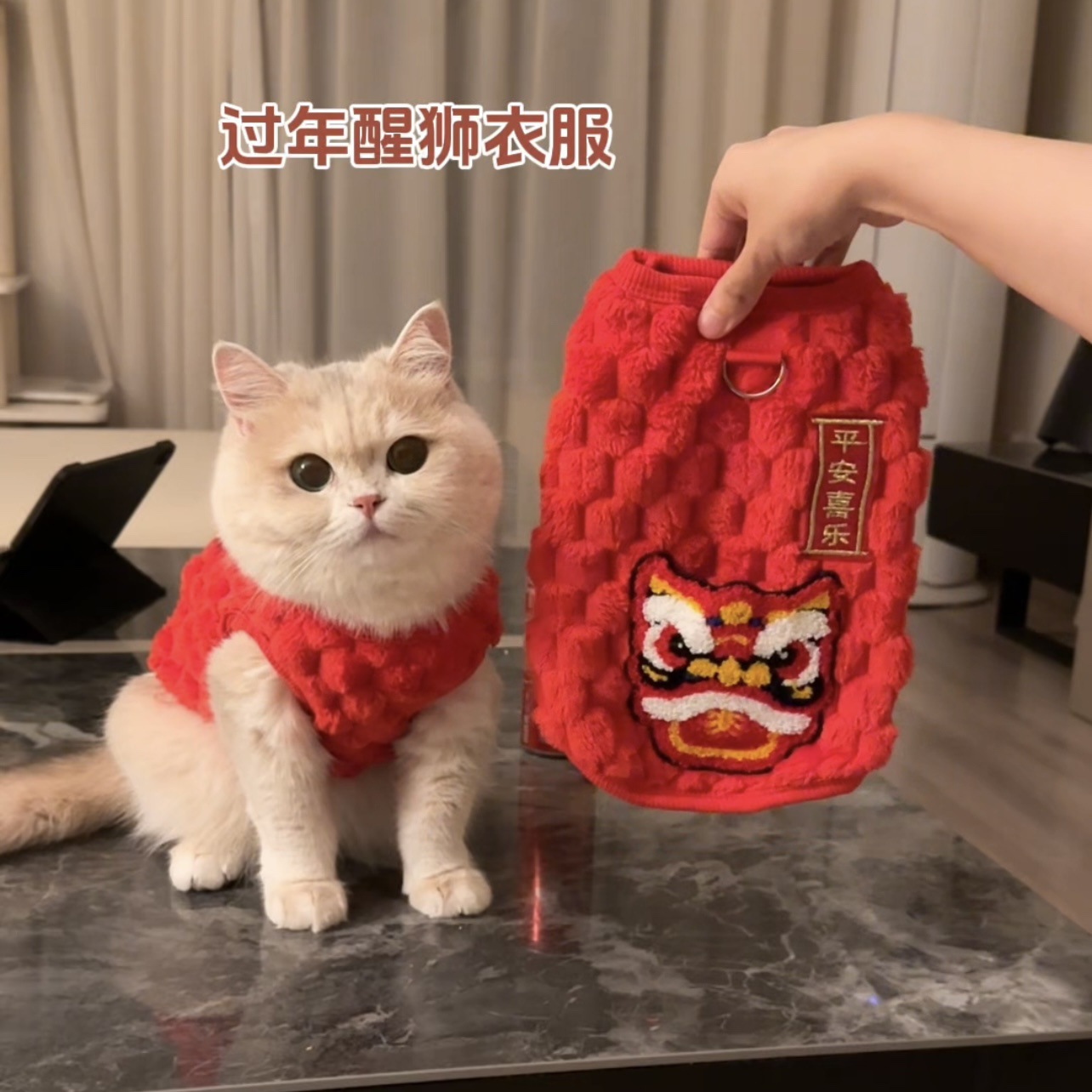 Ropa de mascotas para gatos de Año Nuevo chaleco de peluche cálido oro muñecas de capa graduada gato azul gato joven invierno ropa de Año Nuevo