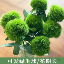 �r��ƹ�ҾվGë����ˮ���r�л����L�����k���Ҳ廨����ֱ�l���l