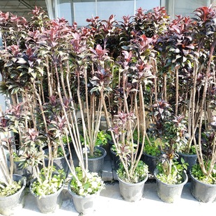 ���~�ٺϴ����� ��ͥ�@ˇֲ�� �@�־G���@ˇ���ܻ��� ���ԾGֲ