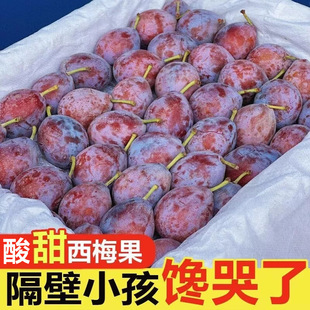 ��÷�r��5�����rˮ�������������ӷ��m�������{�۴���÷�r��Y��