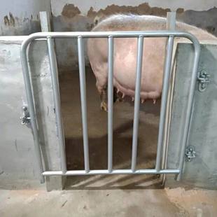 ��\�iȦ�T�i���T�i���T��Ȧ�Tĸ�i���T䓹��T�S���i�Й��T