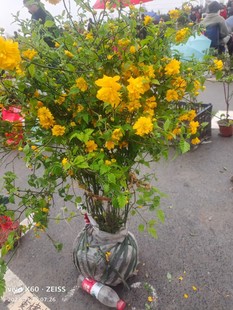 �@�־G����ľͥԺ�����ʾ�ֲ��������������ذ���Ļ����ͺ�����