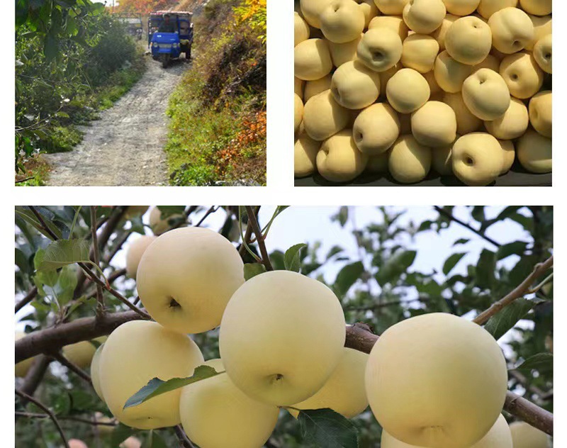 e2ef25878ad8bf9dd4e32fa8adc776