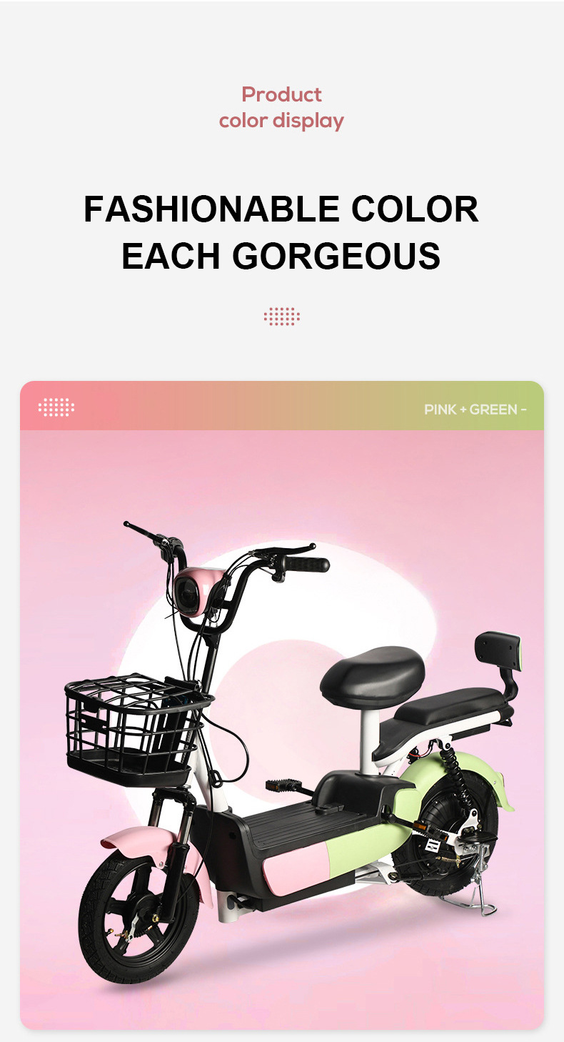 Custom Electric Bicycle, New National Standard, 48V 60V
