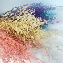 Ưɫ˲l\ɫݻcӬFܛbüҾb