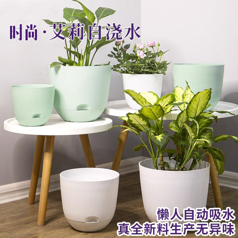 おしゃれな自動吸水式怠け者用植木鉢、クリエイティブな蓄水・貯水プラスチック製大型水耕栽培ポトス鉢、水やり不要|undefined