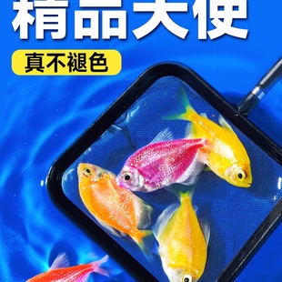 ��ʹ�~�Ꭷ�^�p�~С���~�絭ˮ�~С�~���R�~��ȸ�~�ͻ���B�����~